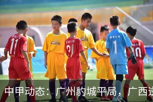 中甲动态：广州豹城平局，广西逆转延边，苏州收获九轮不败