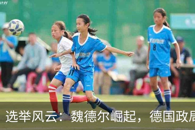 选举风云：魏德尔崛起，德国政局动荡与中德关系转折